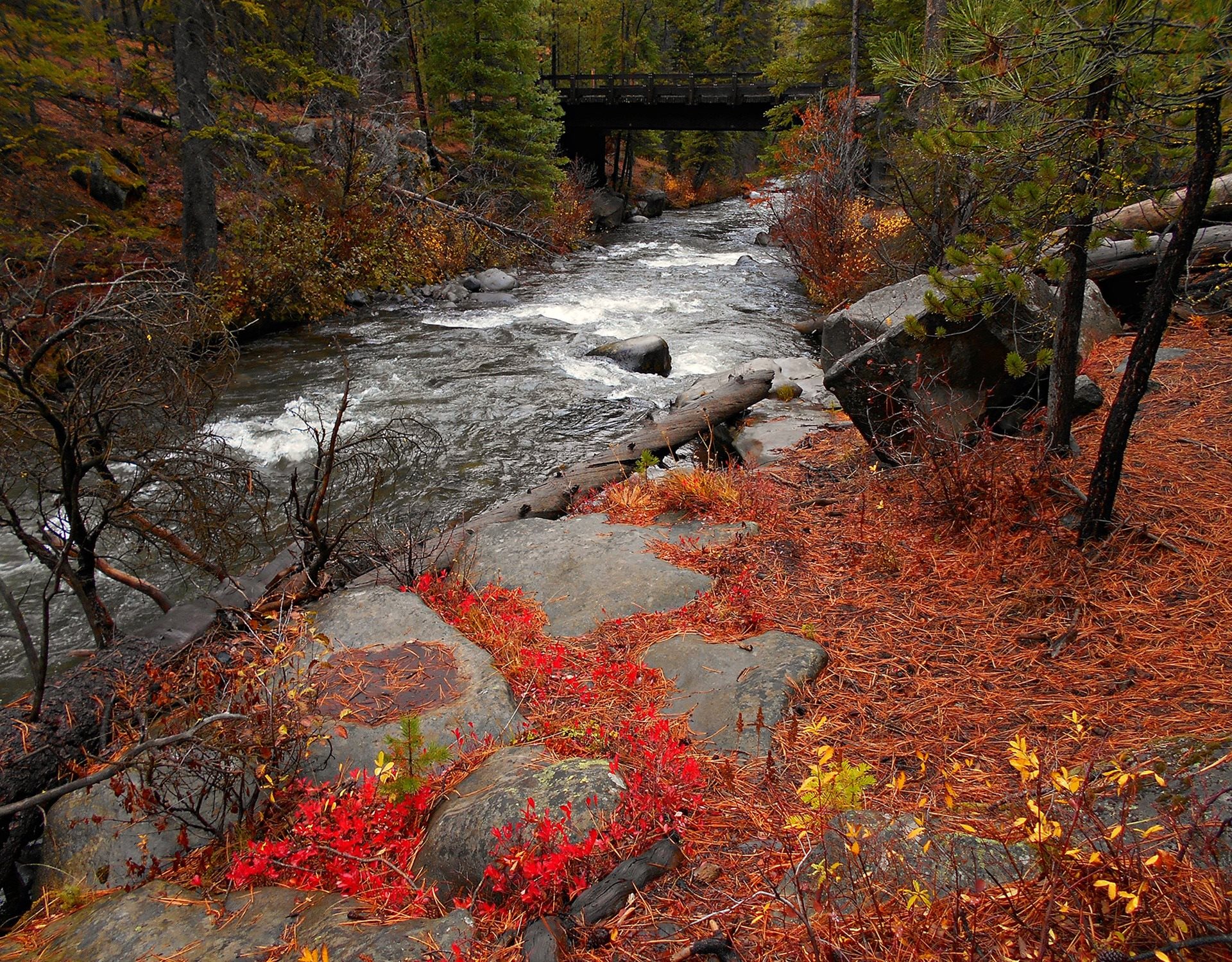 The Springs Apartments in Sisters, OR
